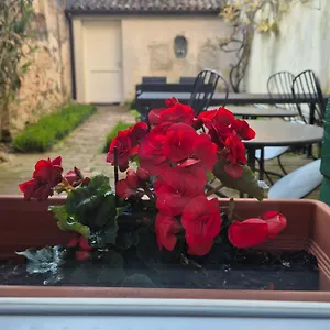 19 Borgo Cavour Bed and breakfast